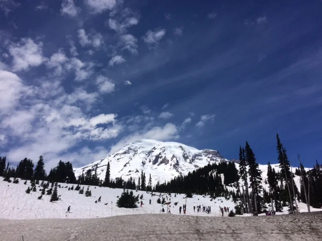 Summer Contest: Show Us Your Photos!