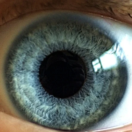 Whether it's Big Brother or your local KwickieMart, people collect information about you all day, every day.