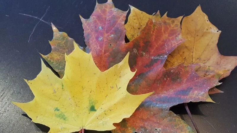 OCTOBER 2017 in POLAND for the FULBRIGHT