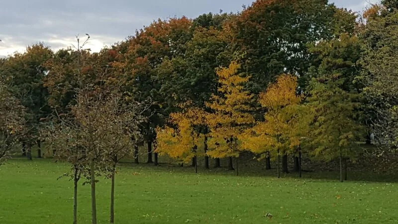 OUR PARK.jpeg