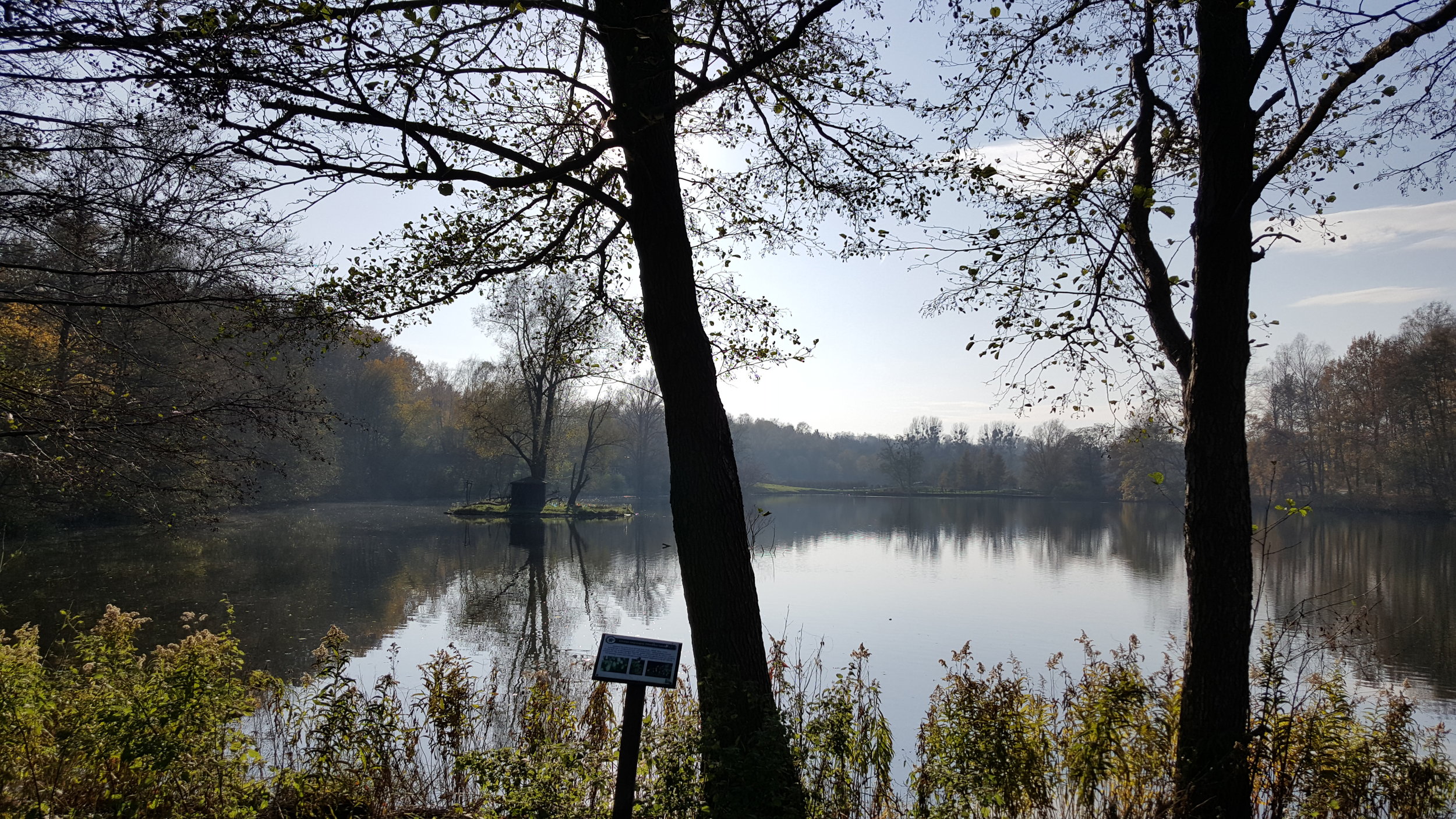 zoo lake nov.jpg