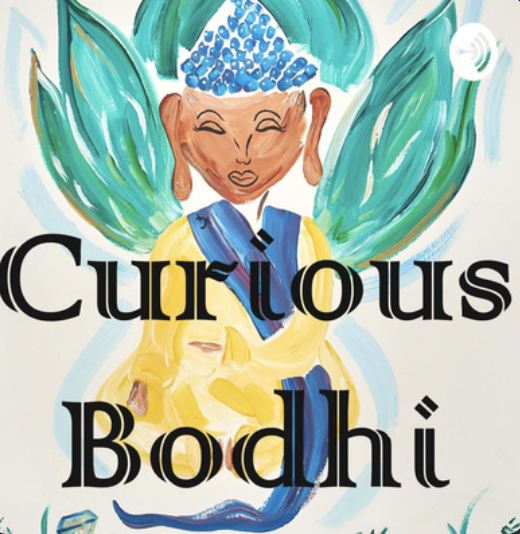 Podcast with Jnana B https://curiousbodhipodcast.com/2018/12/26/episode-11-interview-with-hans-wilhelm-on-our-pre-birth-plan-and-reincarnation/