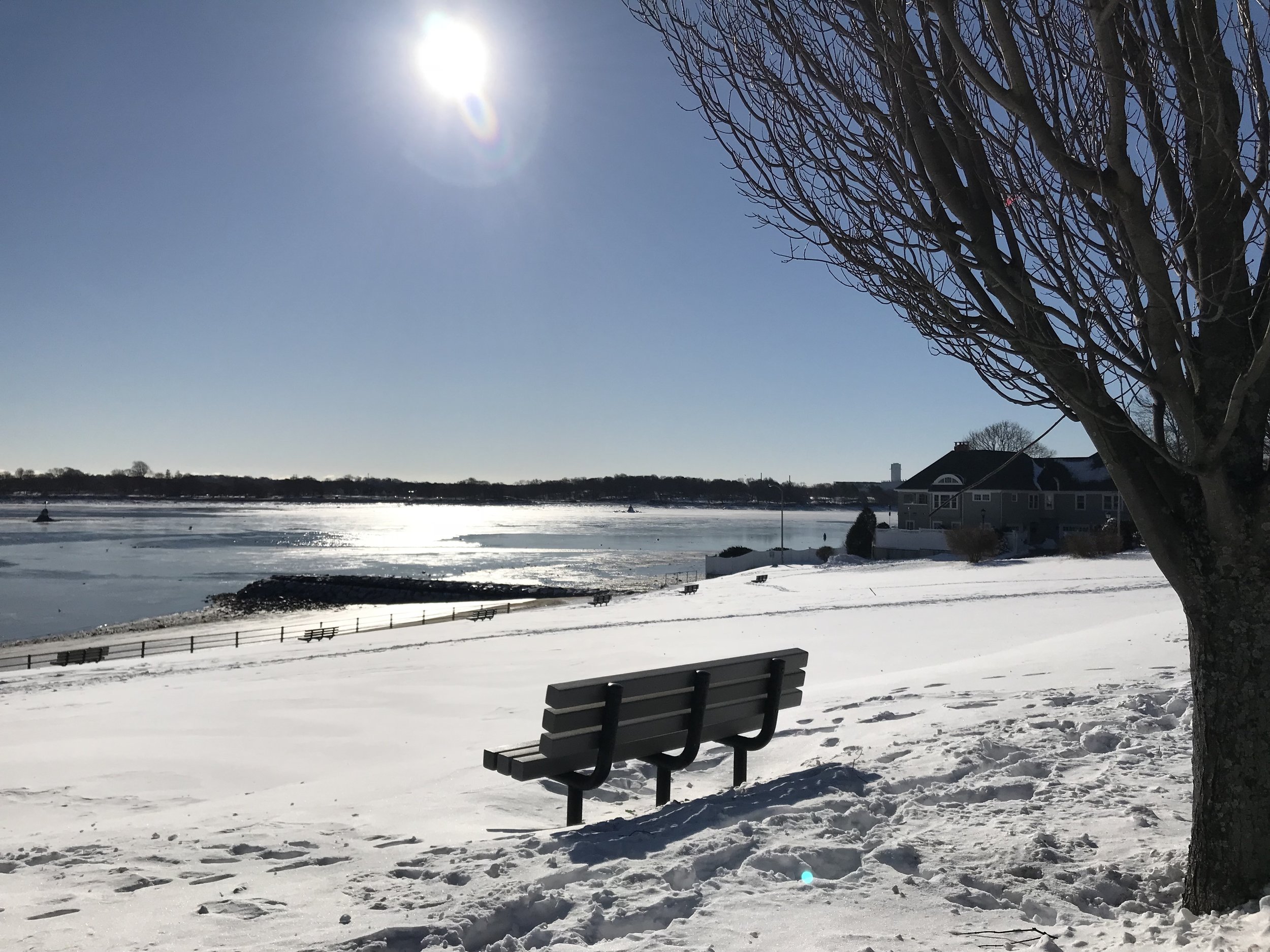 IND Park winter.jpg