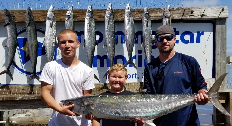 Cpt Starling Kingfish