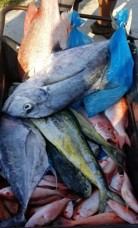 filling up the fishing cooler in Jacksonville