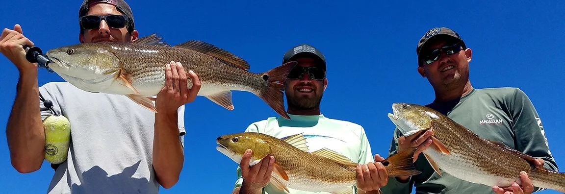 Captain Don Taylor Redfish catches