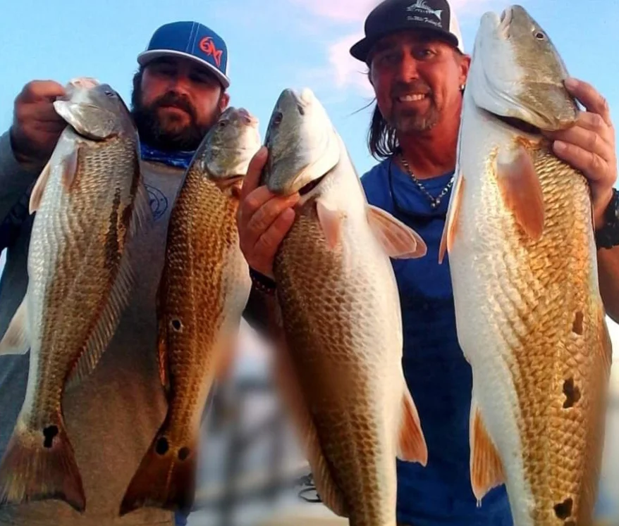 Captain Taylor redfish catches in Jacksonville