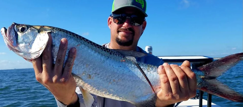 Small Tarpon in Jacksonville