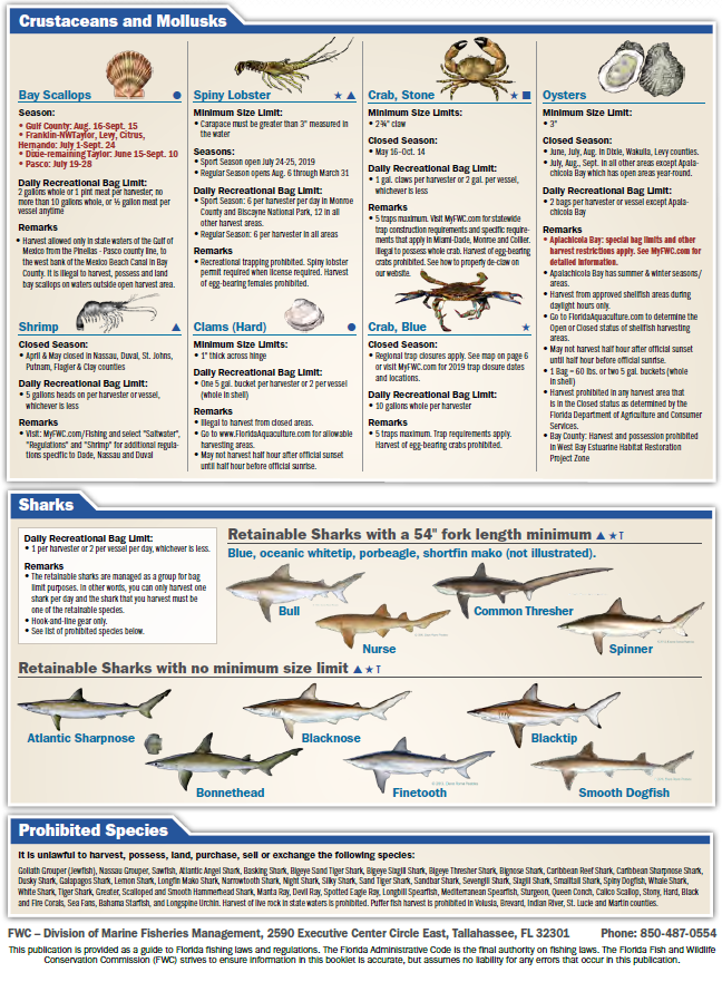 FL Saltwater Fishing Regulations - 4