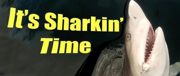 Shark time text overlay on a jumping shark photo