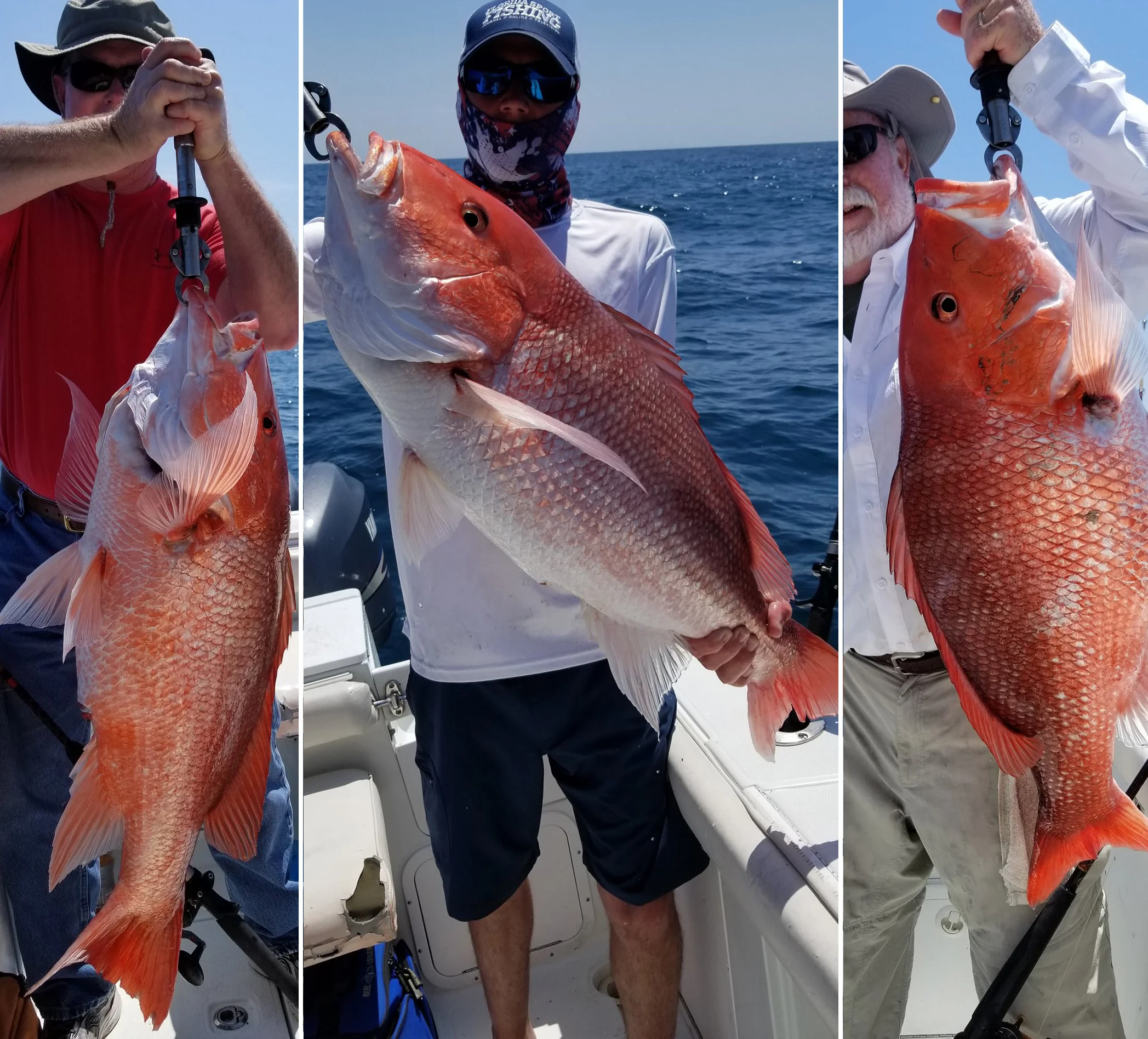 several large red snapper caught in Jacksonville waters