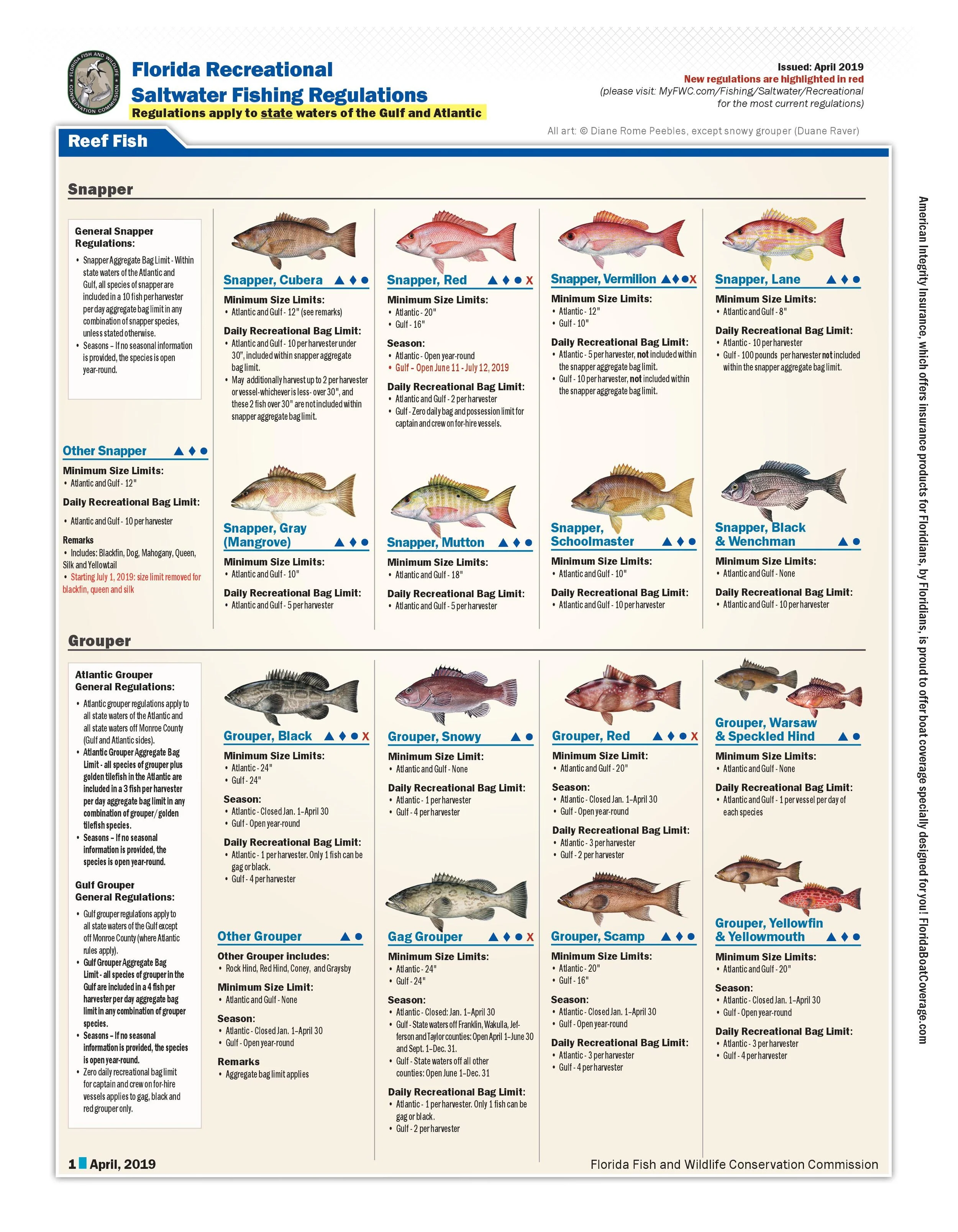 Florida Saltwater Recreational Fishing Regulations – Reef & Reel