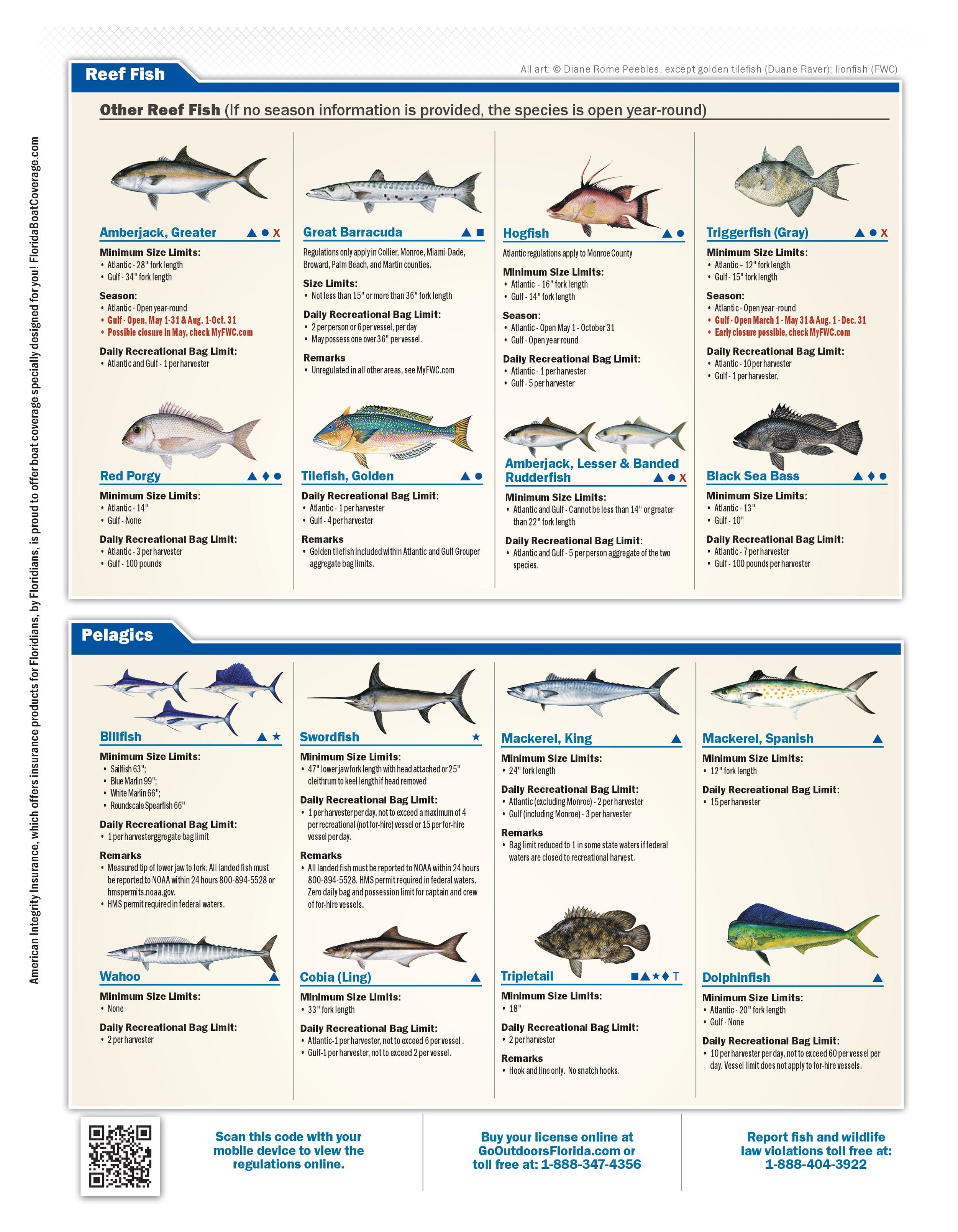Florida Fishing Calendar 2022 Florida Recreational Saltwater Fishing Bag Limits / Seasons