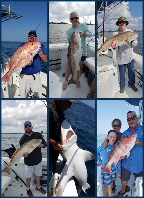 compilation of post-hurricane catches
