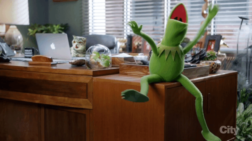 Kermit.gif