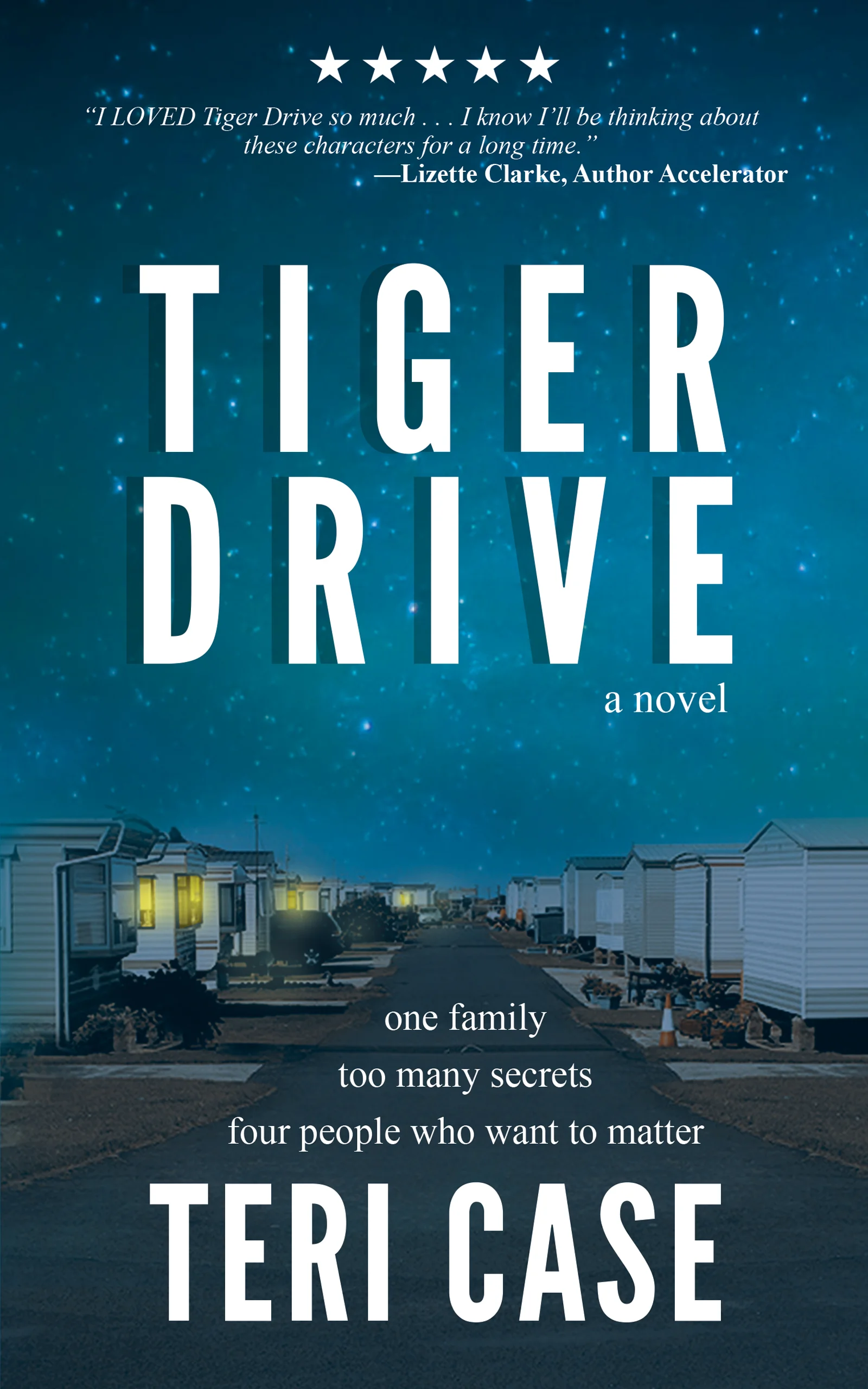 TIGER_DRIVE_1600pxl_X_2560pxl-2.jpg