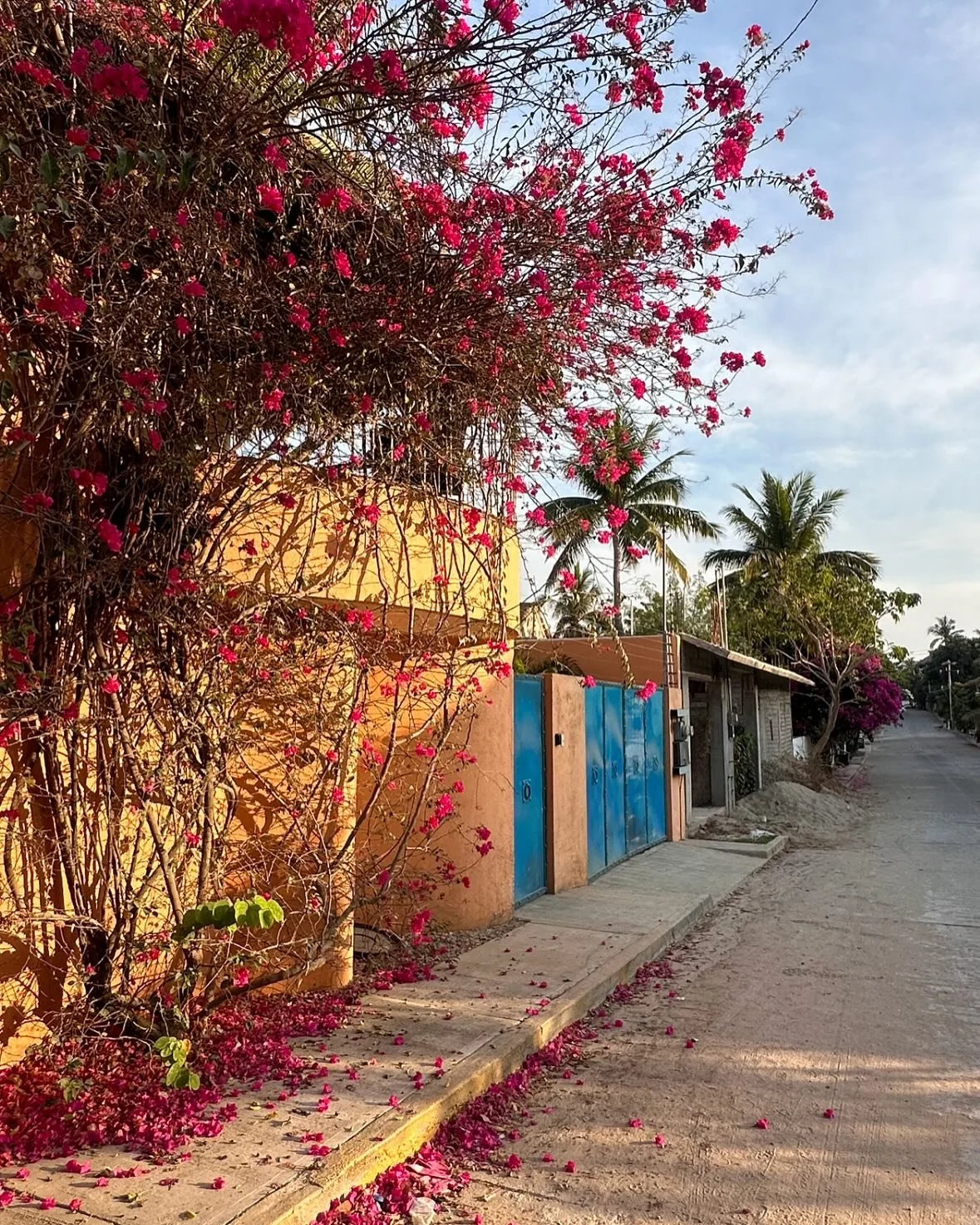 Colors of Mexico City and Oaxaca on this Saturday afternoon.
-
#travelphotos #mexicocity #puertoescondido #streetphotos #streetlook #ricohgr