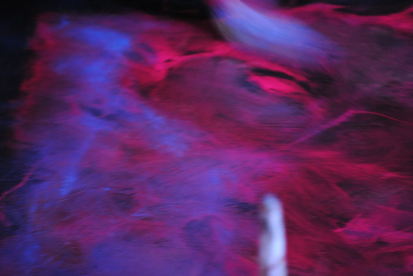  _ photo by Giacomo Gandossi 