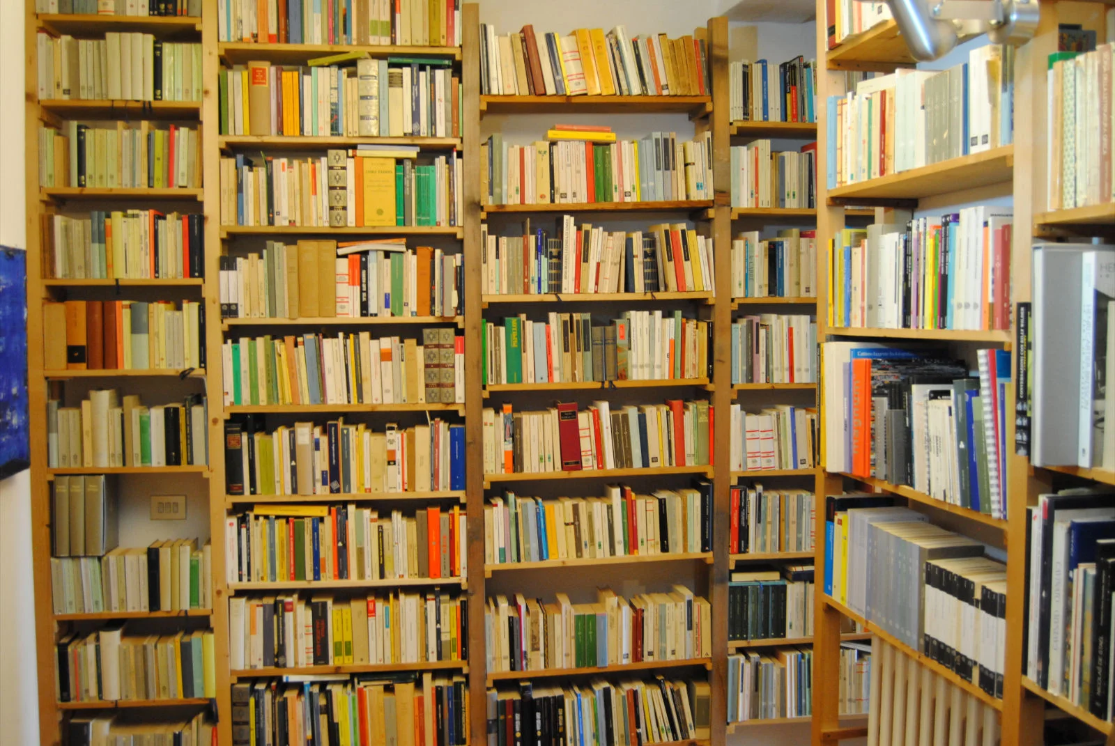  _ photo by Giacomo Gandossi 