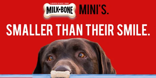 Spec work for a Milk-Bone Mini billboard