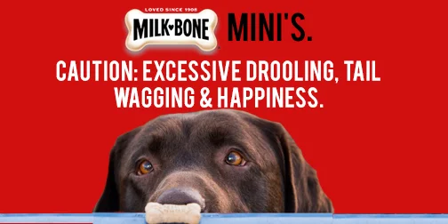 Spec work for a Milk-Bone Mini billboard