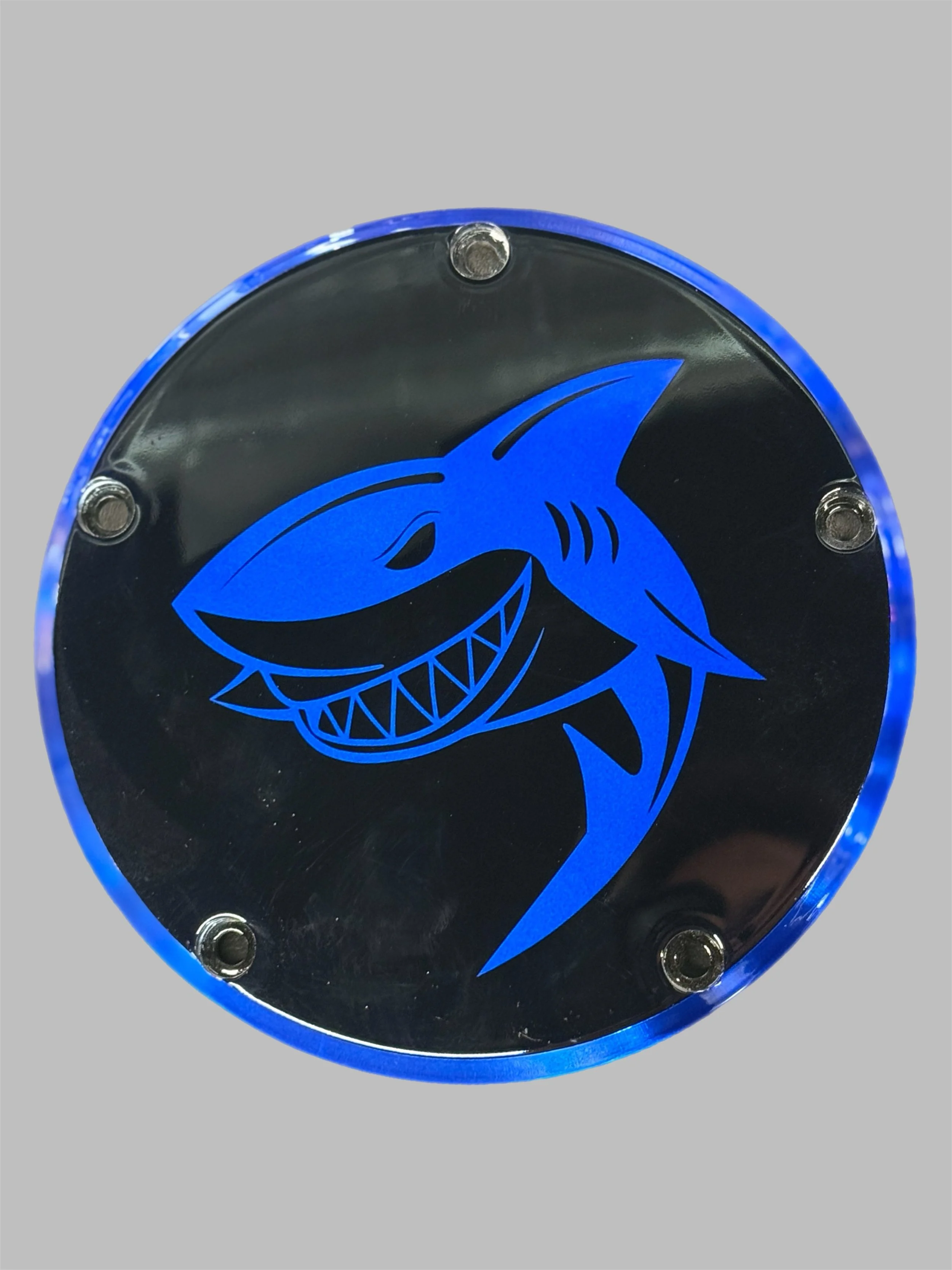 Blue Shark Derby.JPG