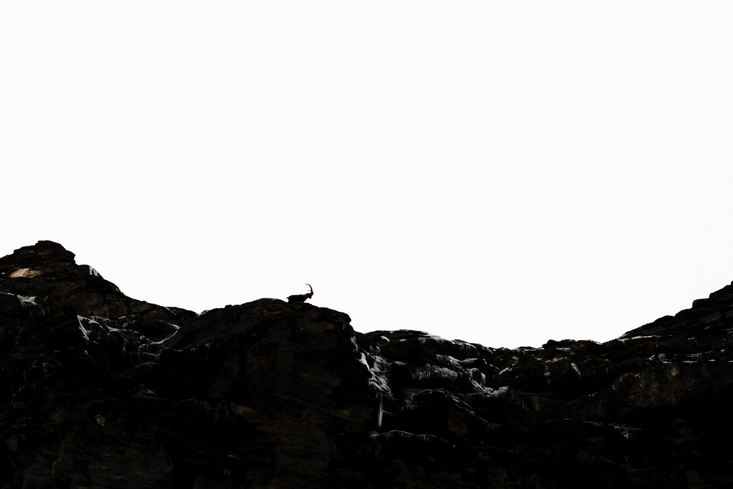 Contemplation dans le silence des montagnes.
Des silhouettes &eacute;ph&eacute;m&egrave;res  sur les cr&ecirc;tes, le passage furtif des oiseaux. 

Une s&eacute;rie un peu diff&eacute;rente dans un style simple que j&rsquo;affectionne. 

📸 : Sony A7