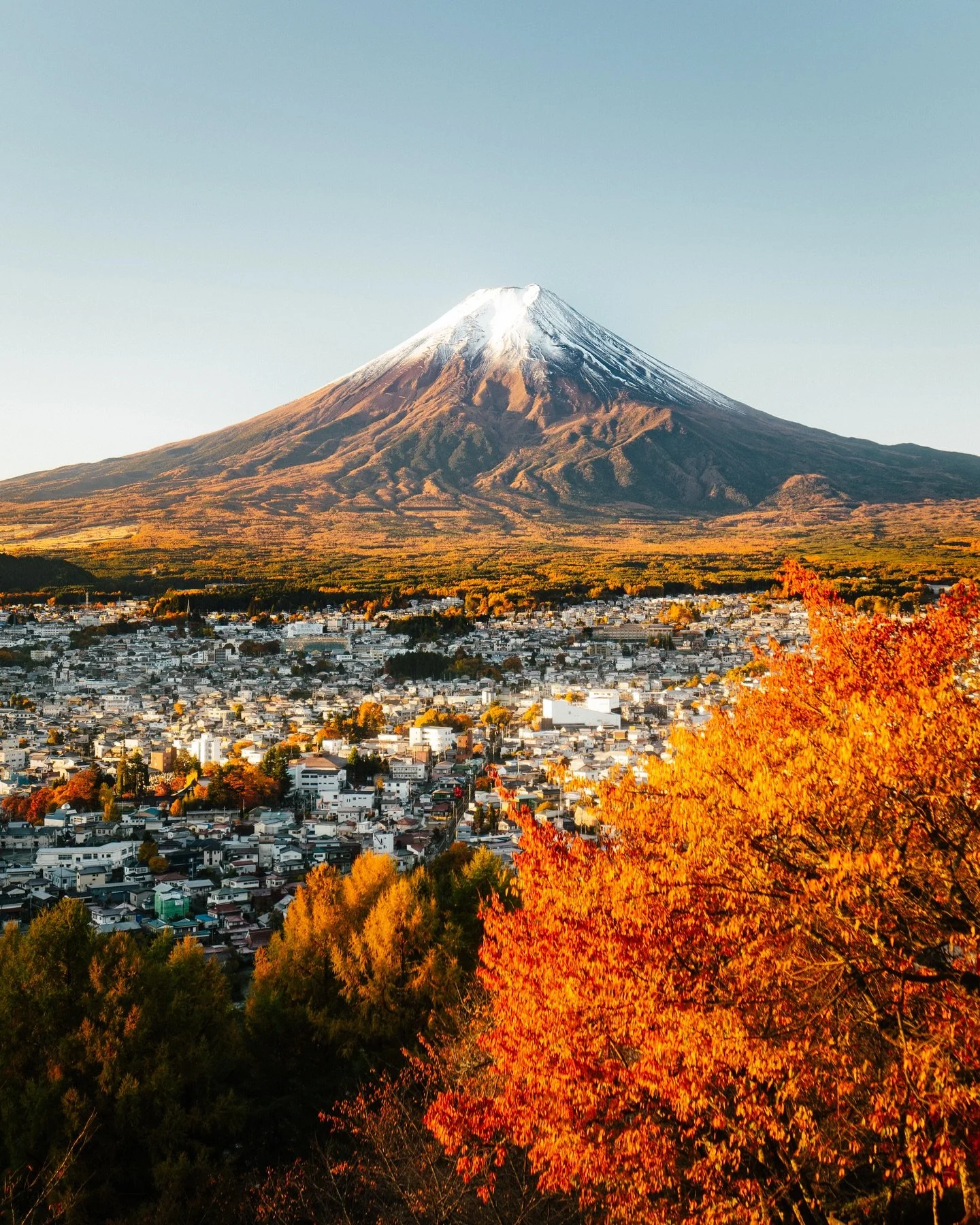 Momijigari autour de Fuji-san 🍁 

#fujisan🗻 #japan #nippon #momijigari #fujiyoshida