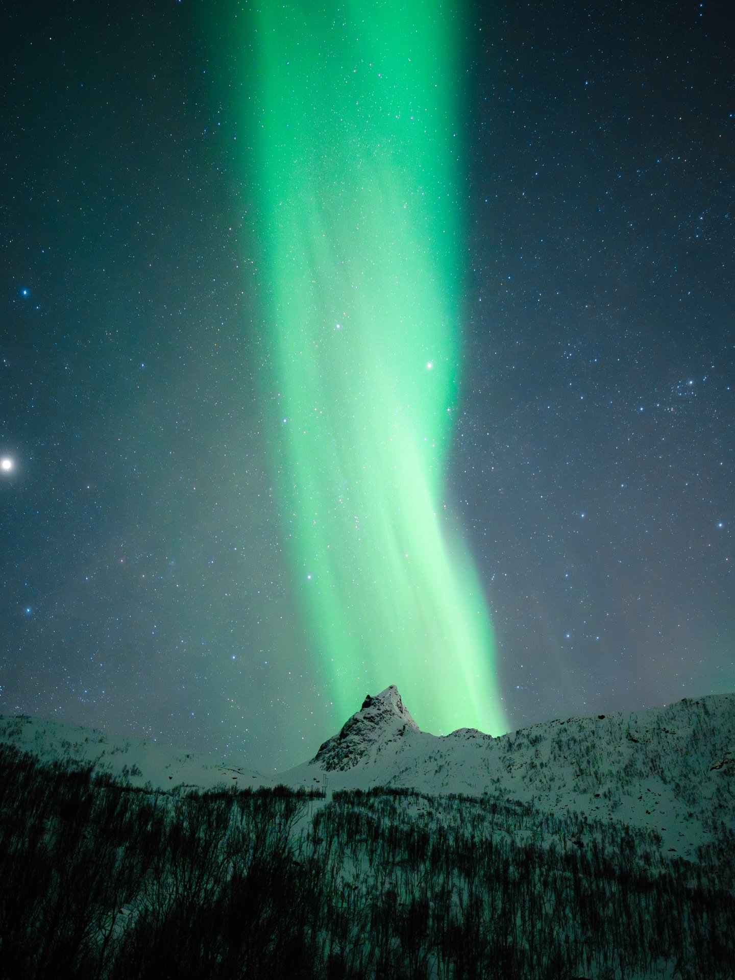 Senja 🇳🇴

Et un voyage de plus dans le nord pour @photographesdumonde !

Les aurores bor&eacute;ales se sont fait attendre mais nous avons pu &ecirc;tre r&eacute;compens&eacute; en fin de s&eacute;jour 🤩

#senja #norway #photographesdumonde #sonya