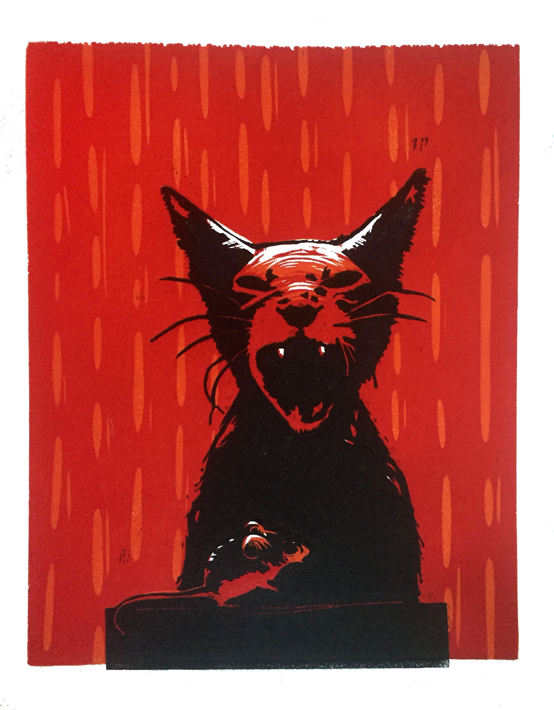 mad cat.jpg
