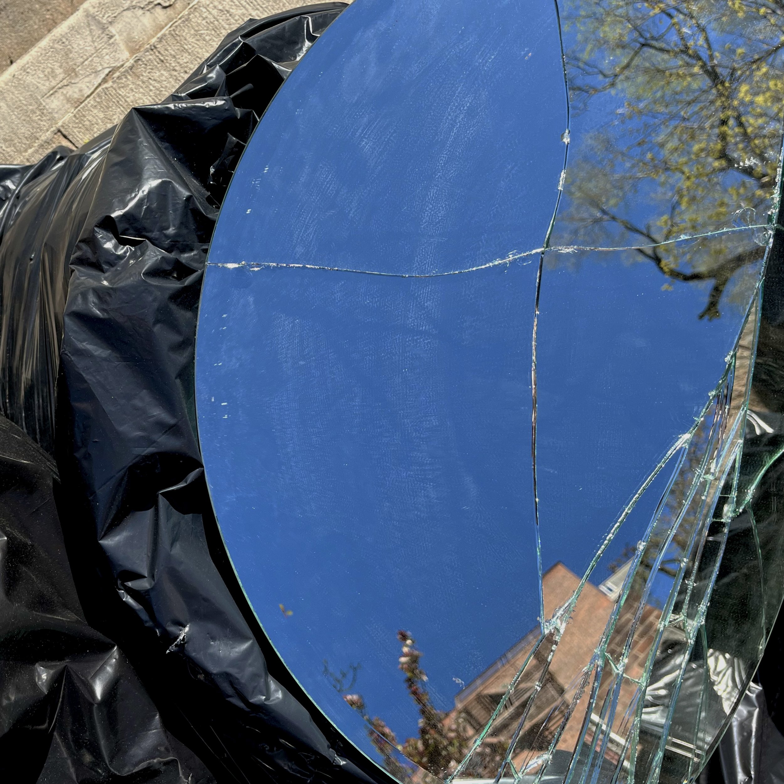 Trash mirror copy.jpg