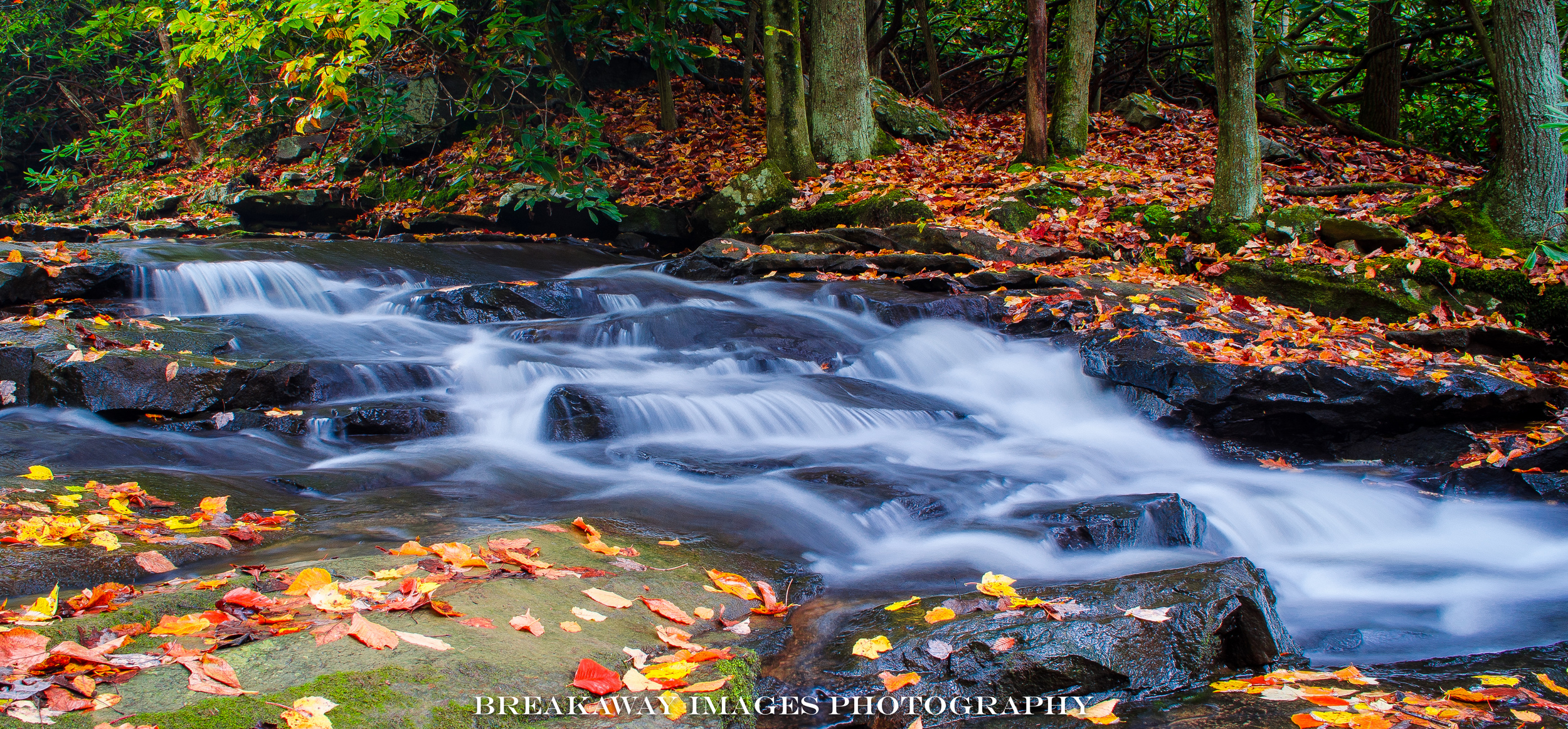 Stream & Fall Leaves, West Virginia