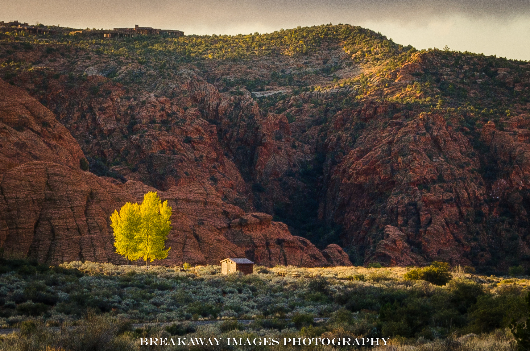 Tree and Shed at Dawn, Snow Canyon State Park, Utah
