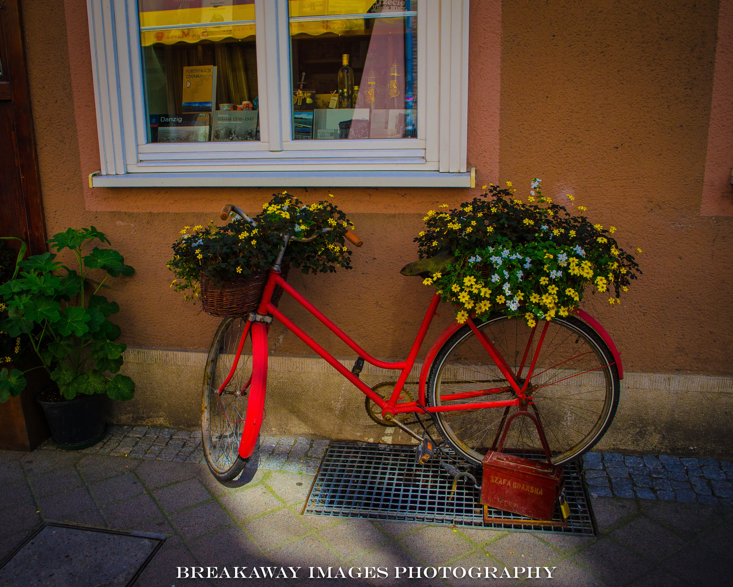 Bicycle Planter, Gdansk, Poland
