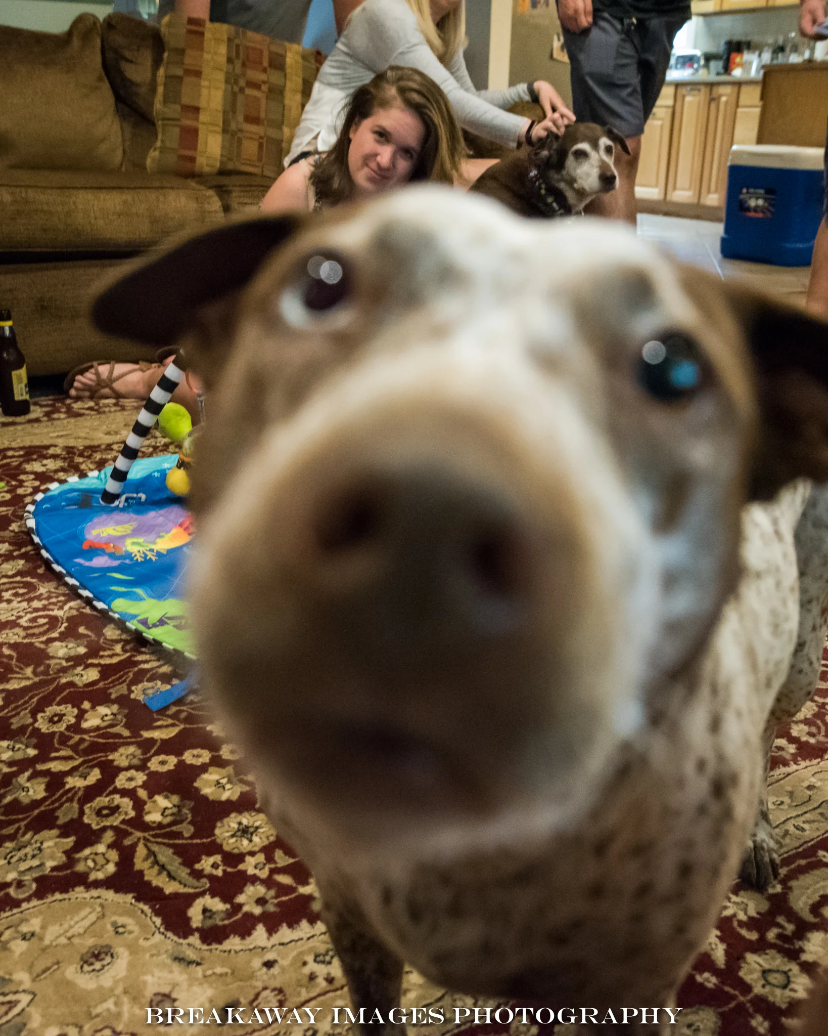 Midge’s 90th birthday party and a curious pup!