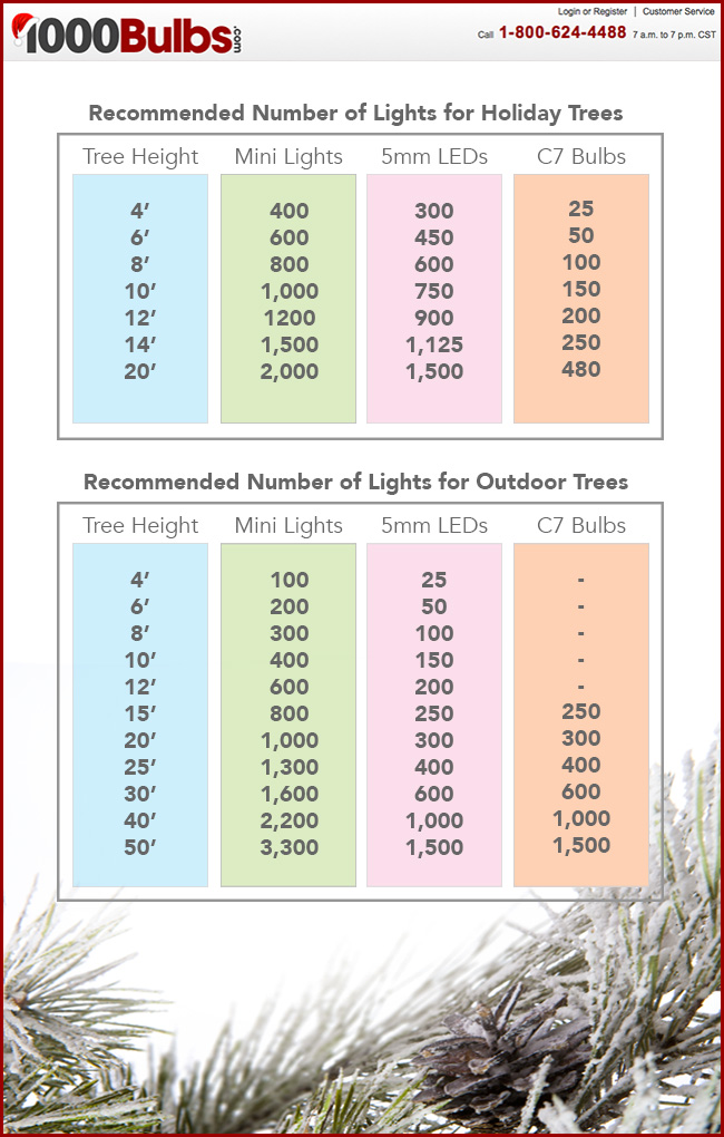 Types Of Christmas Trees Chart