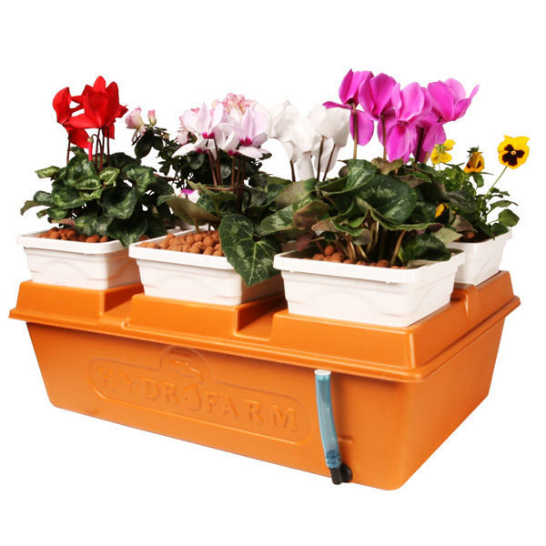 2 Gallon Reservoir includes grow media, air pump and tubing, 6 planters, seed starter cubes, molded cover, pH test kit, and nutrients.