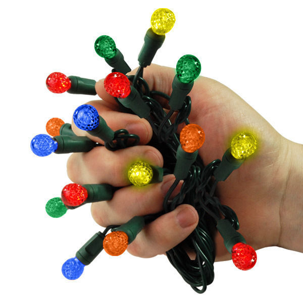 LED G12 string lights in hand