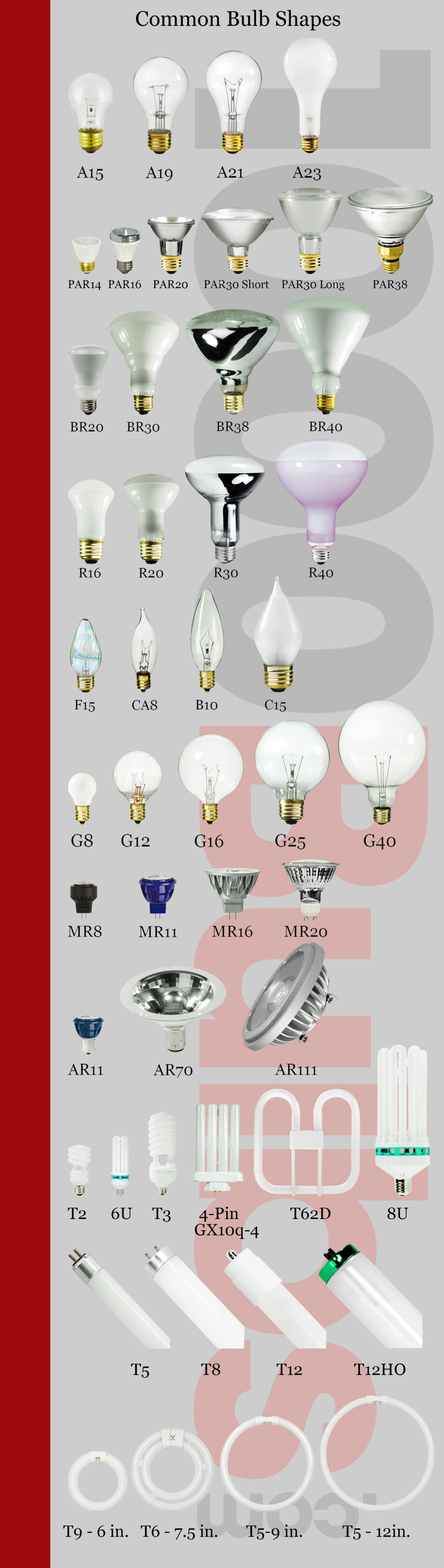 What of Light Bulb Is This? — Blog