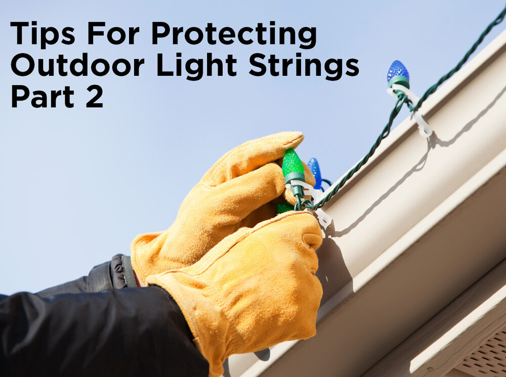 Protect Outdoor Lights Wires From Squirrels Essential Tips For