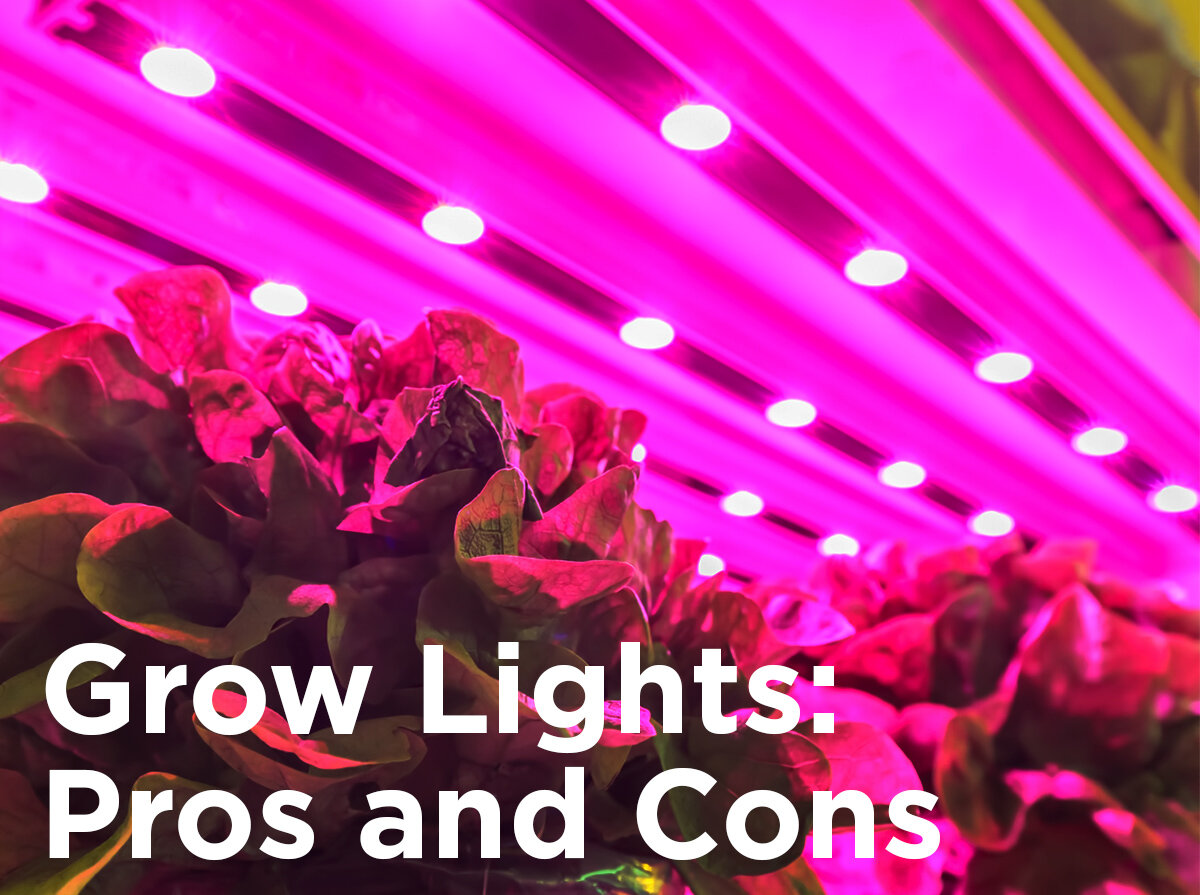 The Pros and Cons of LED Grow Lights for Hydroponics