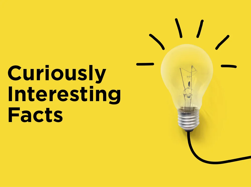 Incandescent Light Bulb Interesting Facts