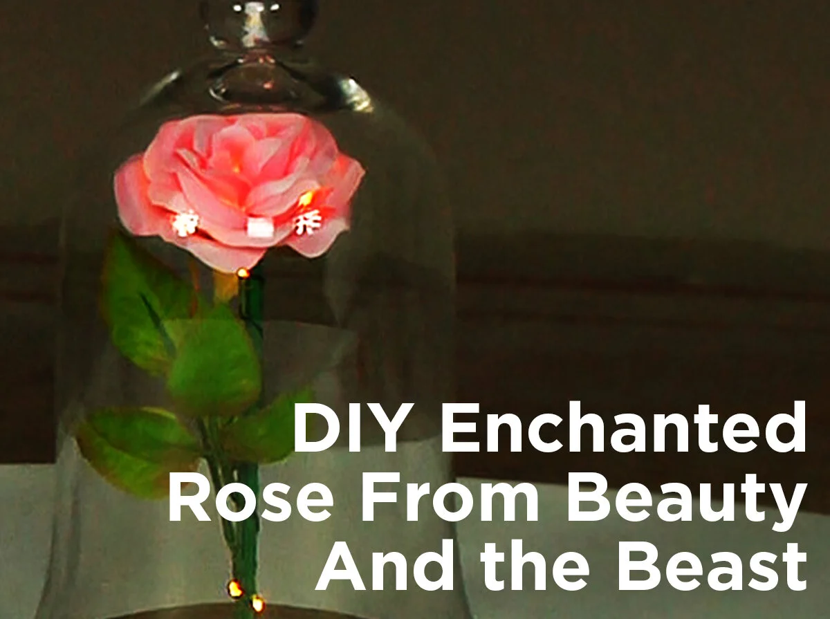 DIY Enchanted Rose from Beauty and the Beast