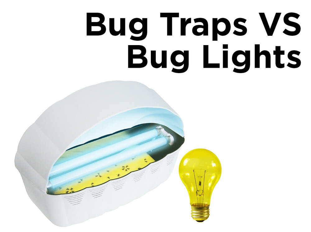 https://images.squarespace-cdn.com/content/v1/56feae0ab6aa60ebb6039bf3/1611683173657-KLVXBI2K00P91VW11FIY/Bug+Traps+vs.+Bug+Lights.jpg?format=1000w