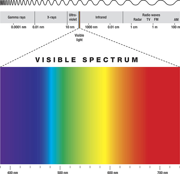 væske Lavet af Derbeville test The Visible Light Spectrum — 1000Bulbs.com Blog