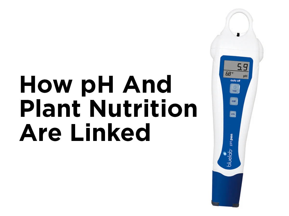 How pH and Plant Nutrition are Linked