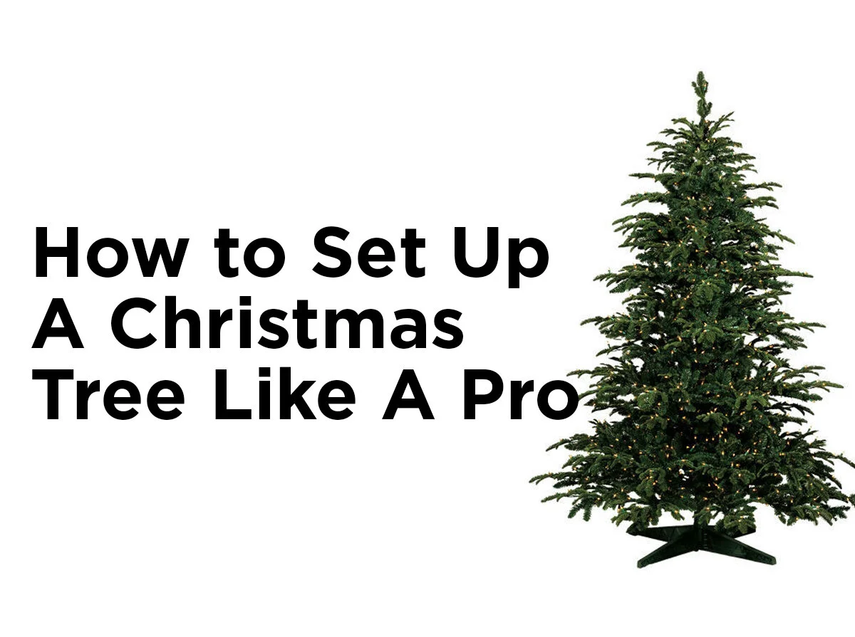 How to Set Up a Christmas Tree Like a Pro