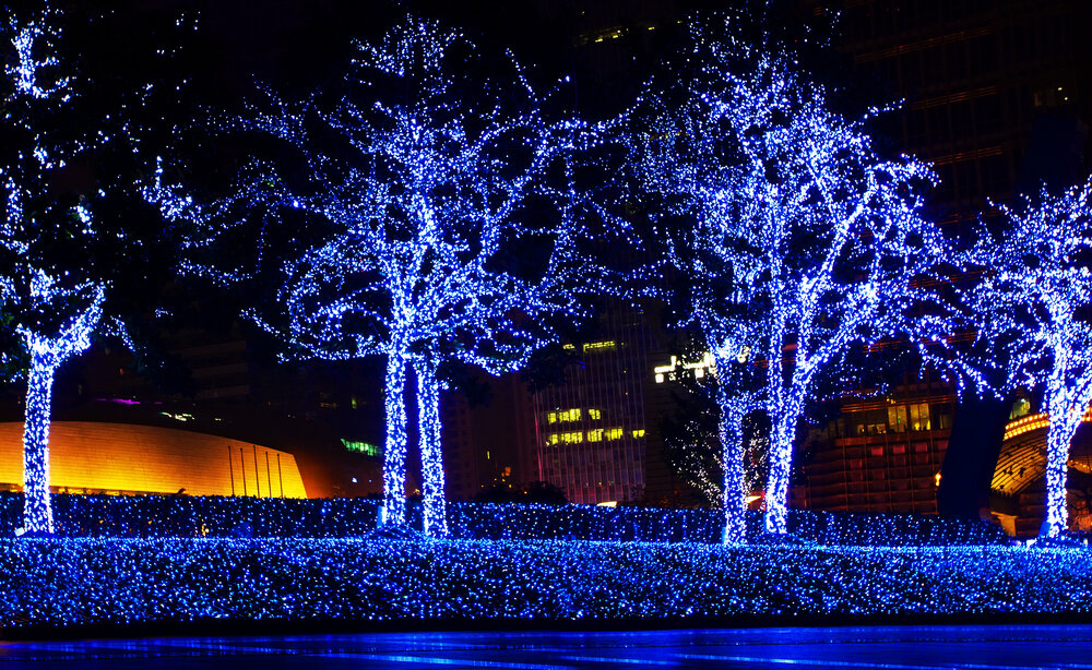 Christmas Light Installation