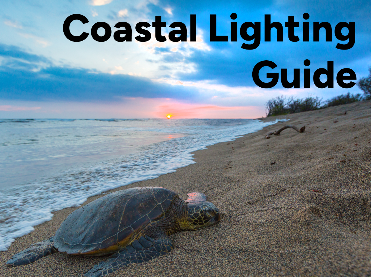 Coastal Lighting Guide: What It Is, Why It Matters, and How Turtle-Friendly Lighting Protects Sea Turtles
