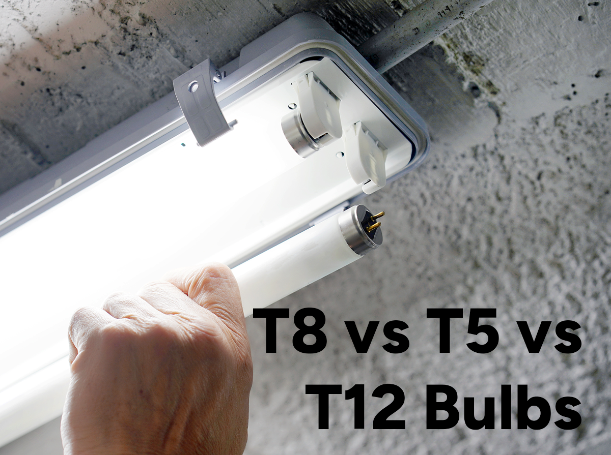 T8 vs T5 vs T12 Bulbs: Key Differences + LED Upgrade Guide